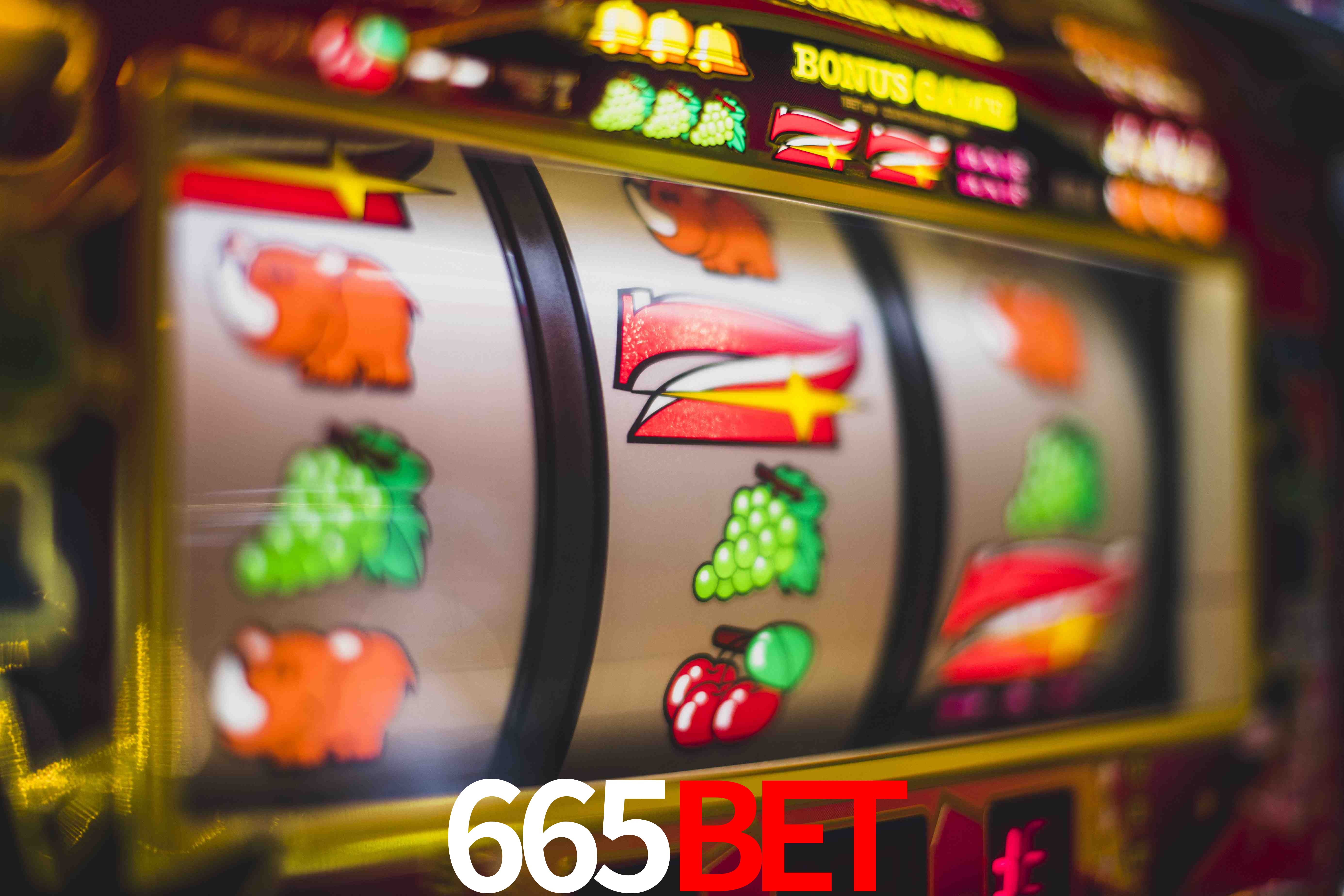 Sports Statistics 665Bet